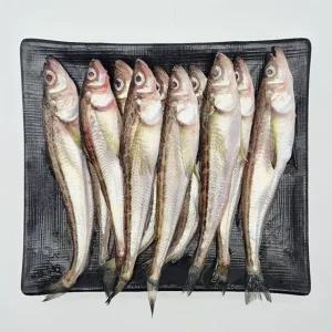 국내산 햇 도루묵 급냉 1kg
