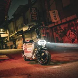강아지스쿠터 타이탄600PRO 전동스쿠터 1000W