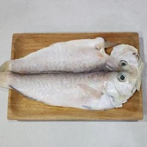 반건조 제주 흑옥돔 10미