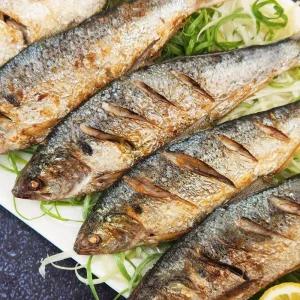 [춘백이어부장터] 삼천포 자연산 구이용 전어 2kg