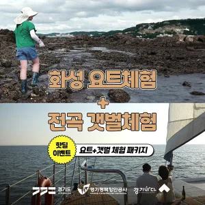 [2025 경기바다 핫딜] 화성요트 + 전곡리어촌체험휴양마을 갯벌체험