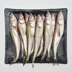 국내산 햇 도루묵 급냉 1kg