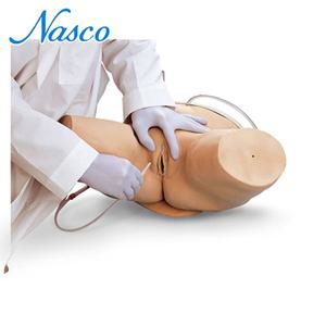 [NASCO] 나스코 여성도뇨 실습모형 LF00856