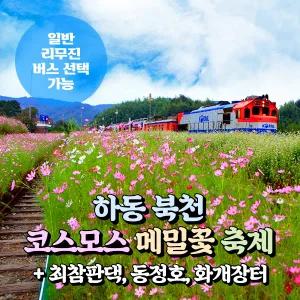 [경남] 하동 북천 코스모스 메밀꽃축제+최참판댁+동정호+화개장터 당일여행(일반/리무진버스) / 서울경기出