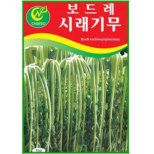 [영농사]보드레 시래기 무씨앗 15g