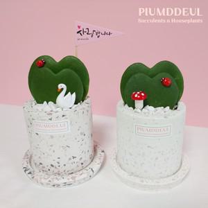 특이한 2겹 하트호야 호야케리 다육이 다육식물 고급 테라조화분 set -  공기정화 전자파차단 산소배출