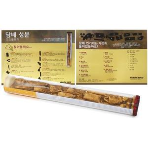 HEALTH EDCO  담배의 성분모형 M79262KO