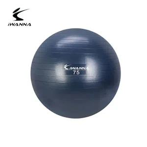 [베프몰]짐볼 ZNMFWEVQ 아이워너 75cm 블루인디고 안티버스트