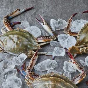 서해안 제철 활 숫꽃게 1kg(3-5미)