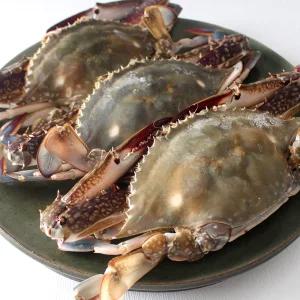 [산지플러스] 서해안 활 숫꽃게 3kg(9-15미내외)