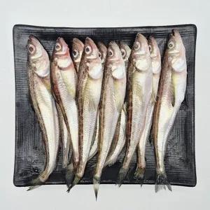 국내산 햇 도루묵 급냉 1kg22759272588515