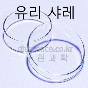 두현과학 유리샬레 (접시 + 덮게) 9cm 12cm  선택구매/유리 샤레 세균 배양 페트리접시