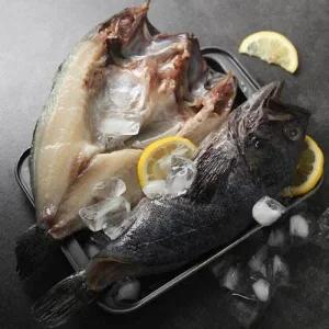 국내산 반건조 대사이즈 우럭 250g×10마리