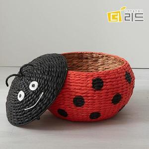 더리드 셀린 워터히야신스 라탄바구니 수납함ㅡ무당벌레