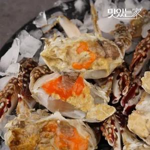 산지직송 국내산 진도 활 숫꽃게 2kg  4-6미 대사이즈) 外 중량별