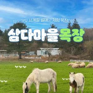 [제주] 삼다마을목장 (성인2인 입장시 소인1인 무료)