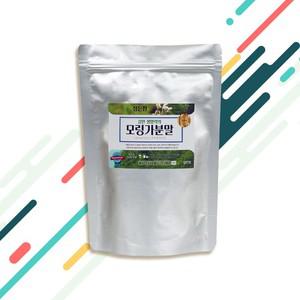 건강한생각 모링가잎 가루 분말 500g