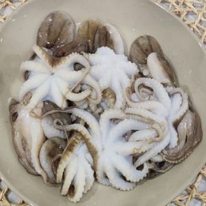베트남 냉동 손질 쭈꾸미 200g 6미 내외 2팩 4팩 6팩 주꾸미