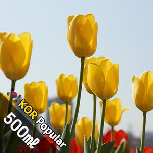 D077 라튤립 500ml (La Tulipe) 프래그런스오일 캔들 디퓨저 향수