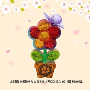 어르신 노인만들기 원목꽃꾸미기 스칸디아모스 화분장식만들기 유치원 조경