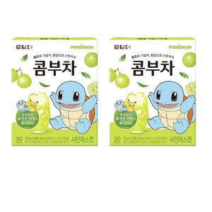 담터 콤부차 샤인머스캣 30개입 2박스