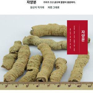 건강차 파극천 희귀 동정오룡차 고산 특급 아리산