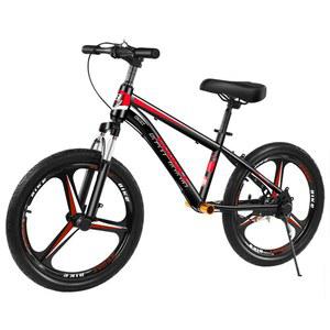익스트림 자전거 묘기자전거 스턴트 BMX자전거 20인치 묘기 바이크 BMX