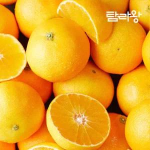 탐라왕 제주 황금향 2.5kg 로얄과(8-18과) 7512910