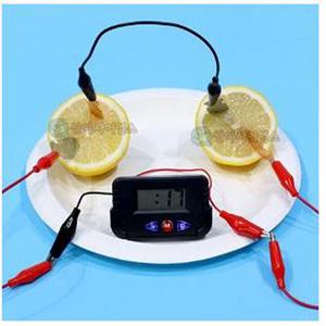 과일전지/디지털시계/1인용포장/JS-43552