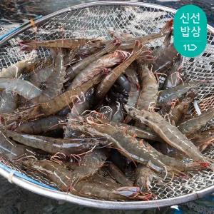 활새우 1kg (35미내외)