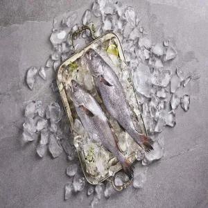 [우리참바다] 국내산 반건조 대 통민어 260g×13마리