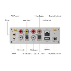 Arylic S50 Pro  Airplay 달 인터넷 라디오 DLNA QPLAY UPNP 와이파이 및 AptX HD 프리앰프 ESS 세이버 Dac