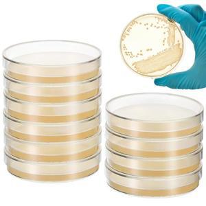 10 Pcs Nutrient Agar Plates Petri Dishes 7cm Pre Poured Science Tools STEM Education Microbiology