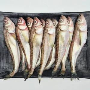 [팜쿡] 동해안 도루묵 500g x 2팩 (급냉)