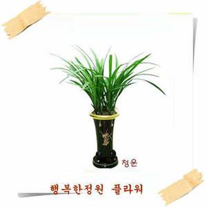 동양란/철골소심/채홍/영전/승진/개업/인사이동/축하난화분/이벤트상품