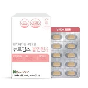 뉴트맘스올인원 2bx 임산부 종합 비타민 영양제