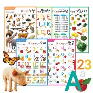 유아학습 아기벽보 한글포스터 동물 알파벳 구구단 과일채소 숫자 방수포스터