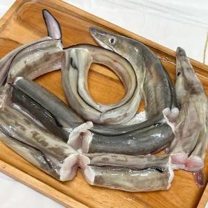[하라네]여수 자연산 바다장어 손질 토막 장어 탕용 1kg