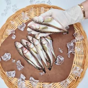 먹기 편한 소분팩 동해안 도루묵 500g x 1팩