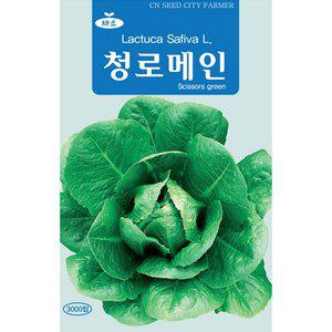 [기타]청농 청로메인 상추씨앗 3000립