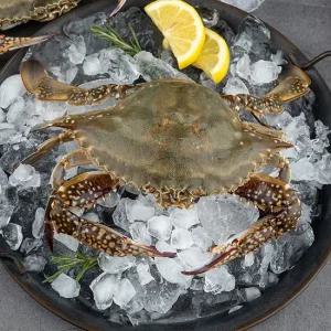 산지직송 달큰한 연평도 활 숫꽃게 3kg (9-15미/빙장포장)