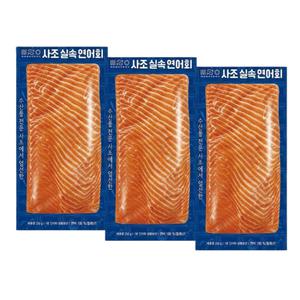 사조 실속 연어회 250g 3팩 냉동연어 + 해동지 3장