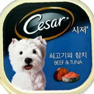 시저캔 강아지캔 통조림 간식 시저캔24개