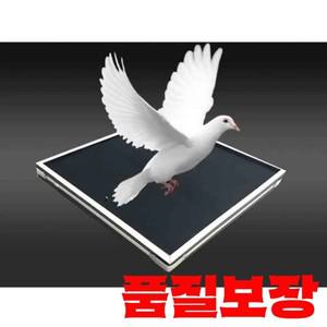 풍선 불 비둘기 트레이 마술 트릭 나타나는 개체 Magie 닫기 소품 재미 거리