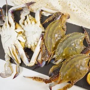 국내산 활꽃게 숫꽃게 1kg