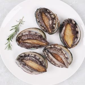 [산지직송]소소사이즈 완도 활전복 1kg(30-40미) 산소포장