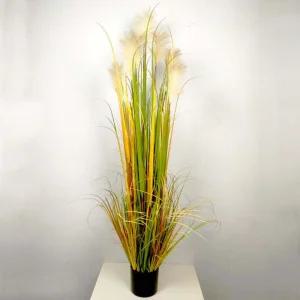 팜파스그라스 갈대 연브라운 조화 인조갈대 150cm