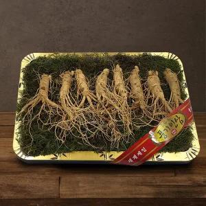 [풍기인삼]  5년근 수삼 1채 750g (7-8뿌리)
