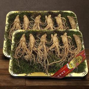 [풍기인삼] 5년근 수삼 1채 750g (5-7뿌리/대바구니) x 2박스