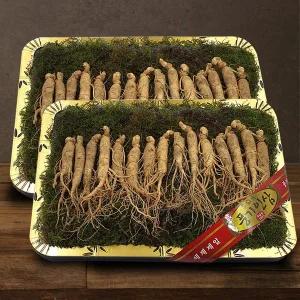 [풍기인삼] 5년근 수삼 1채 750g (15-20뿌리/대바구니) x 2박스